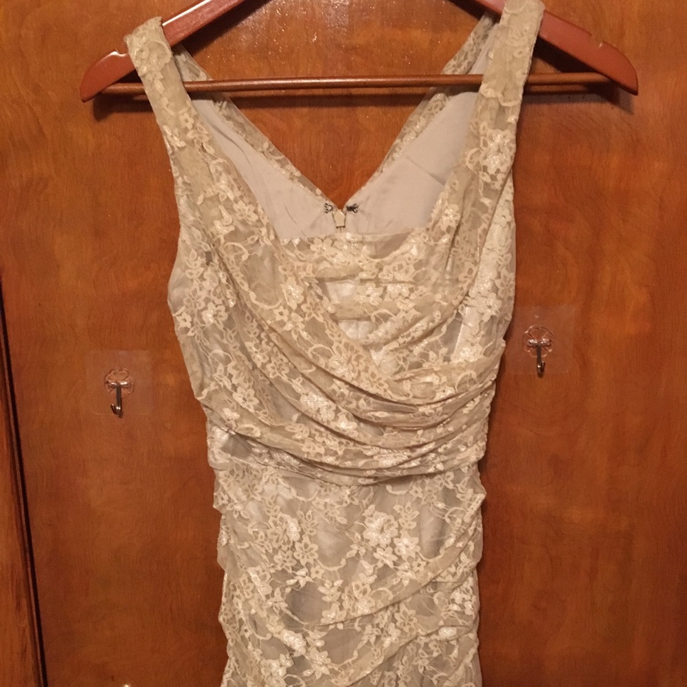 Express Nude Lace Sheath Mini dress Size 0